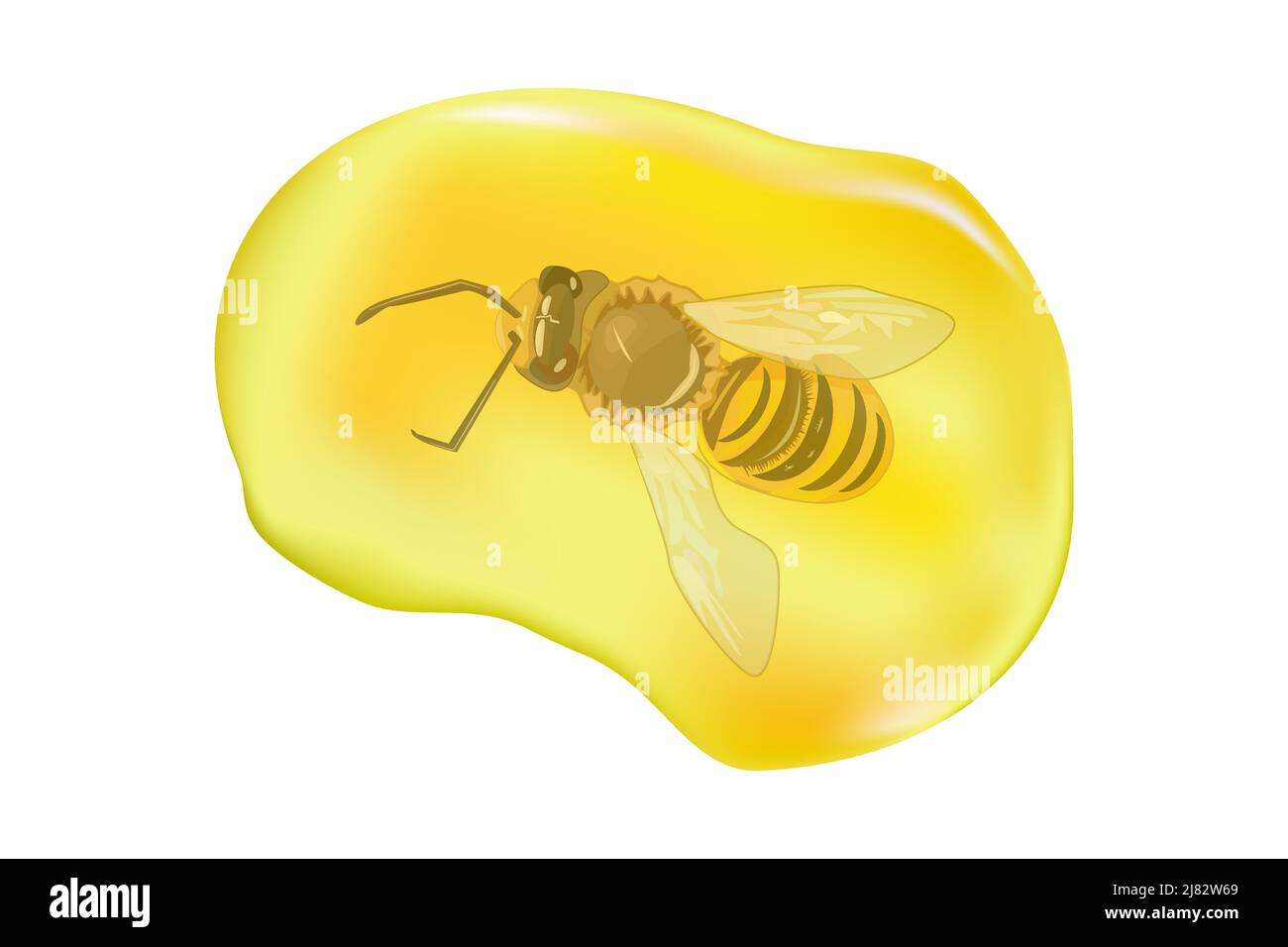 Insects in drop of amber. Fossilised tree resin. Ancient amber midge inclusion. Piece of amber with bee inside. Stone with prehistoric insect. Vector Stock Vector