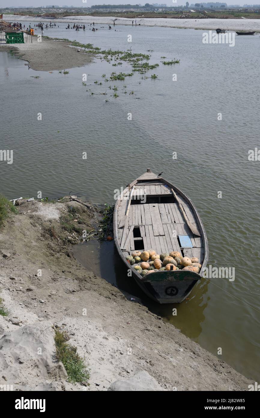 Floating deshi boats carrying pumpkins in shallow riverbed of the holy