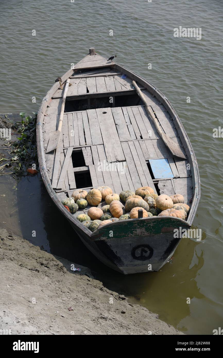 Floating deshi boats carrying pumpkins in shallow riverbed of the holy
