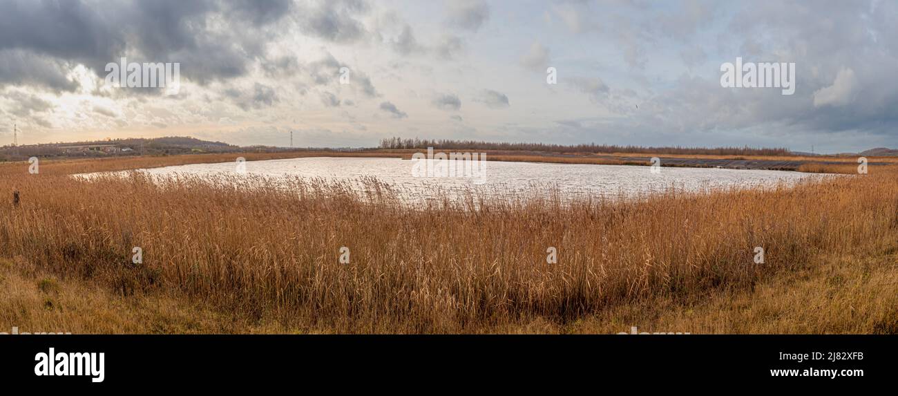 Panoramic view of wetland and lake along the Roy Taylor Trail at RSPB Fairburn Ings, Yorkshire, UK. Stock Photo