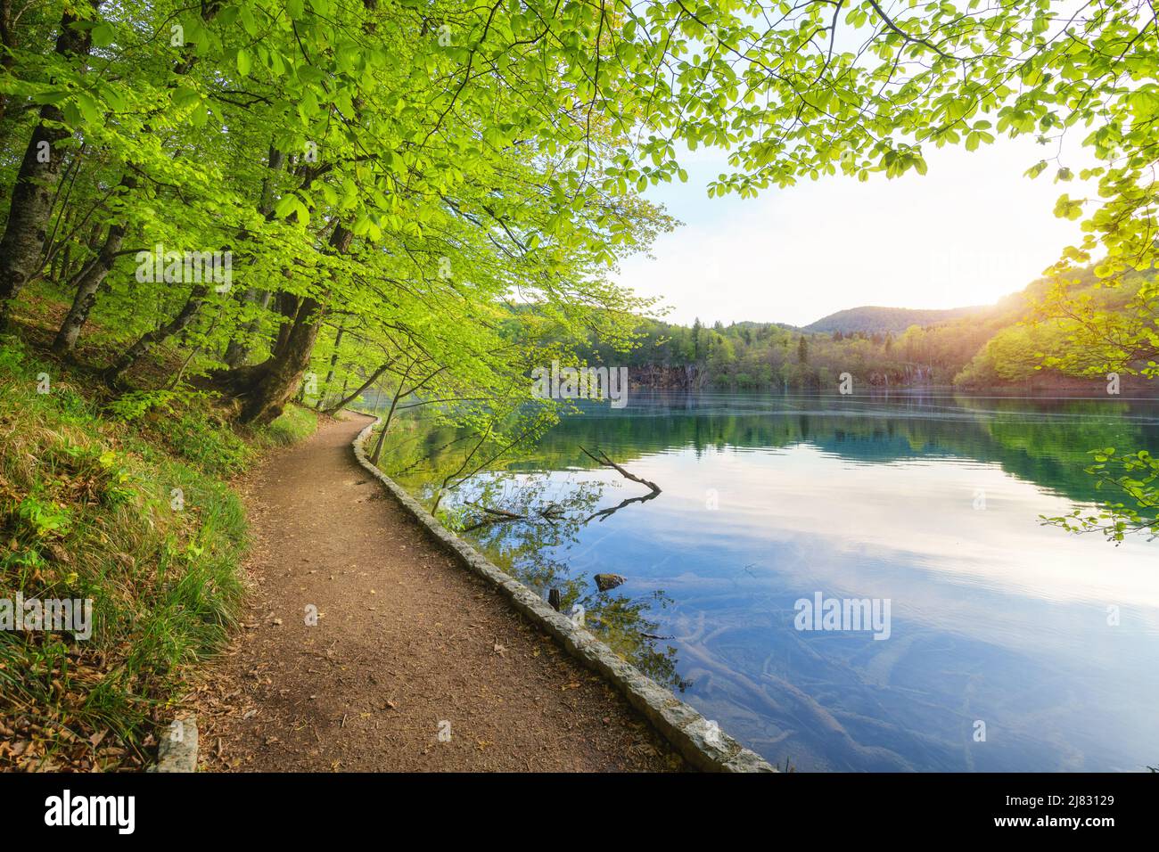 Path in beautiful forest near the lake at sunset in spring Stock Photo