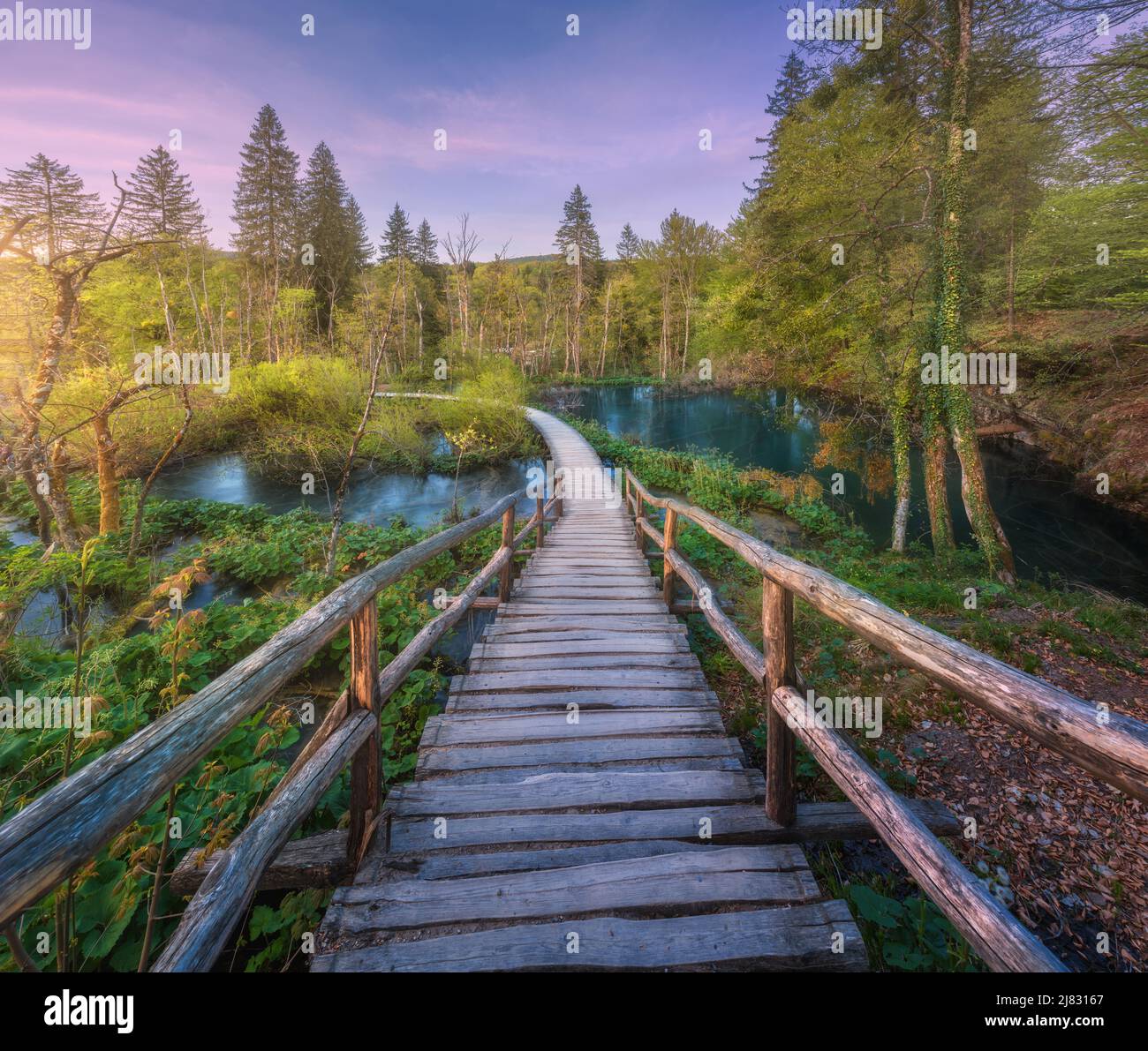 Wooden trail path pathway way hi-res stock photography and images - Alamy