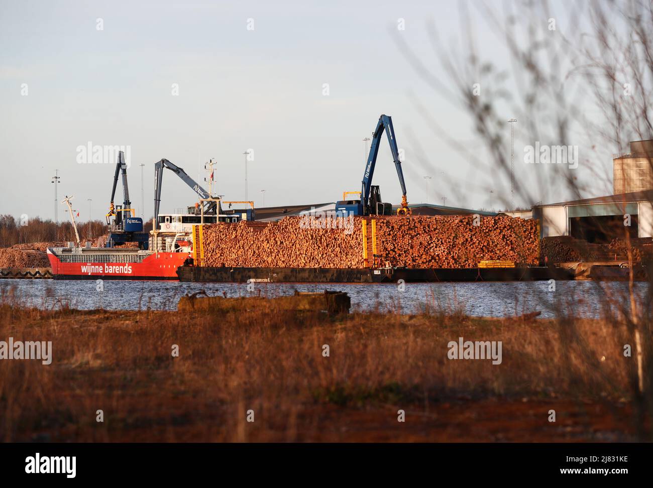 Loading of timber in the port of Norrköping, Norrköping, Sweden. Stock Photo