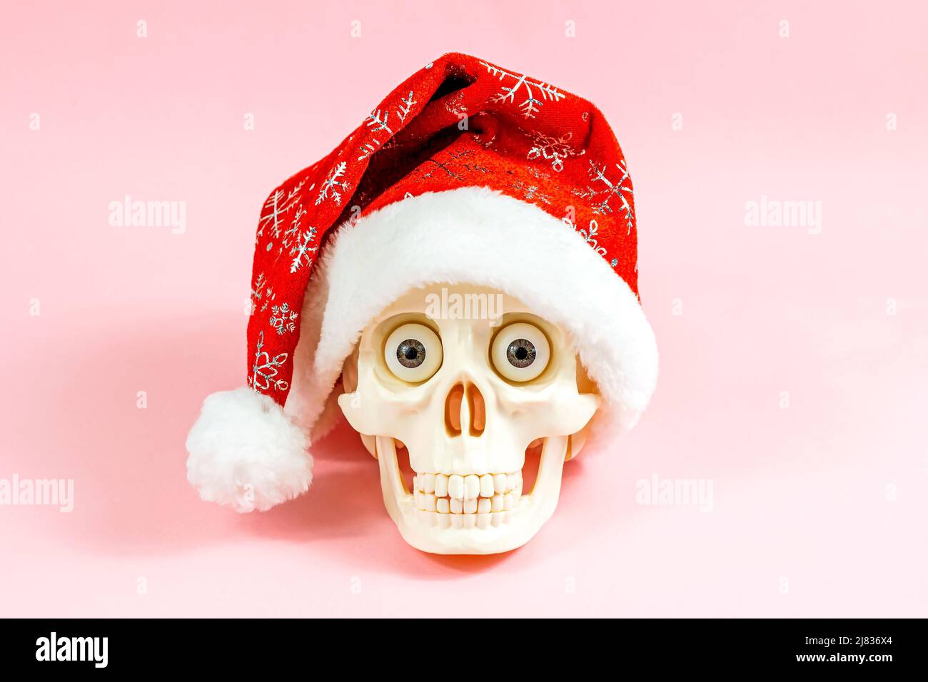 Skull in a Christmas Hat Straw Topper Graphic by