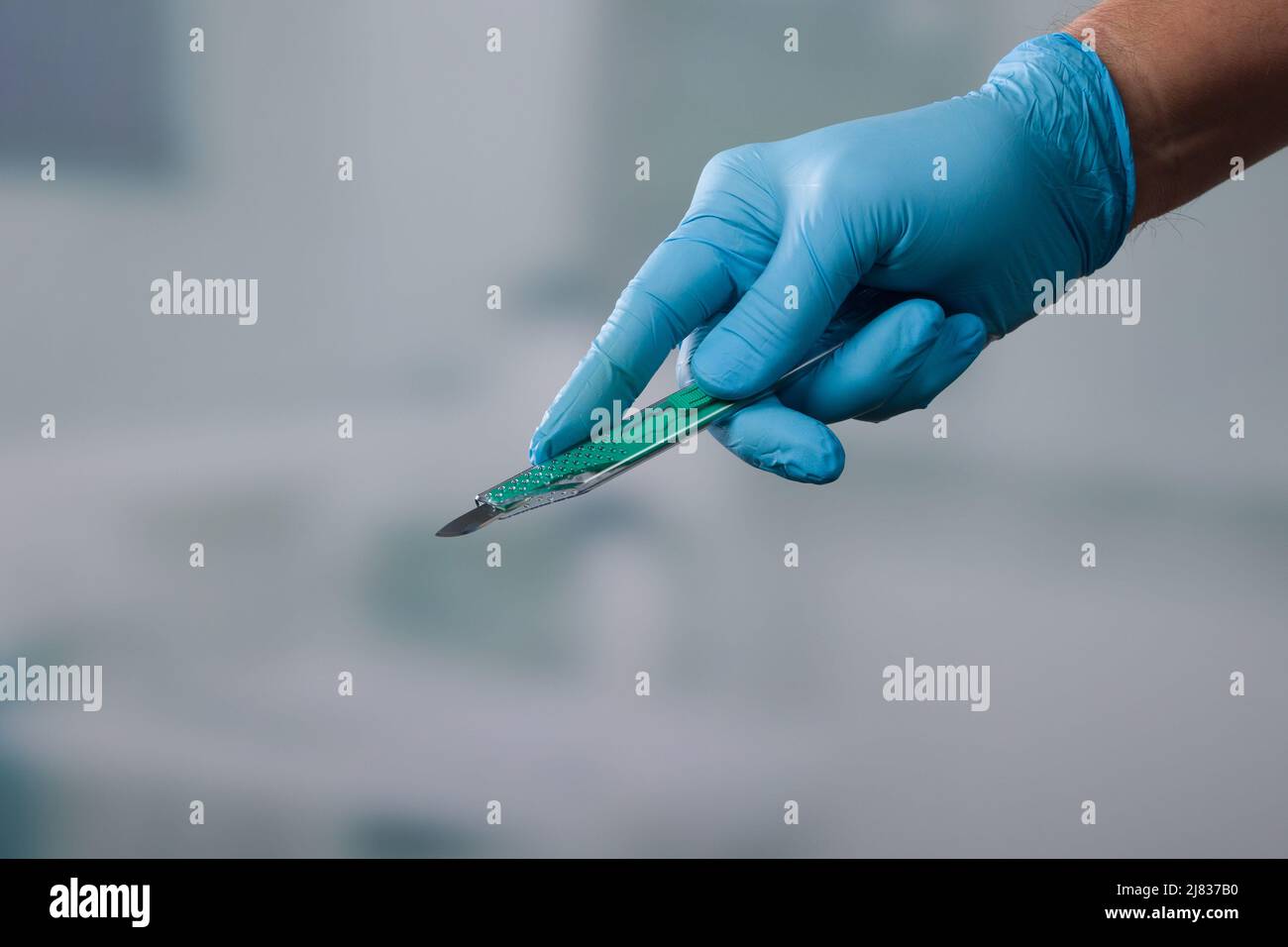 Surgery Knife In Doctor Hand,medical Concept. Stock Photo, Picture and  Royalty Free Image. Image 43461452.