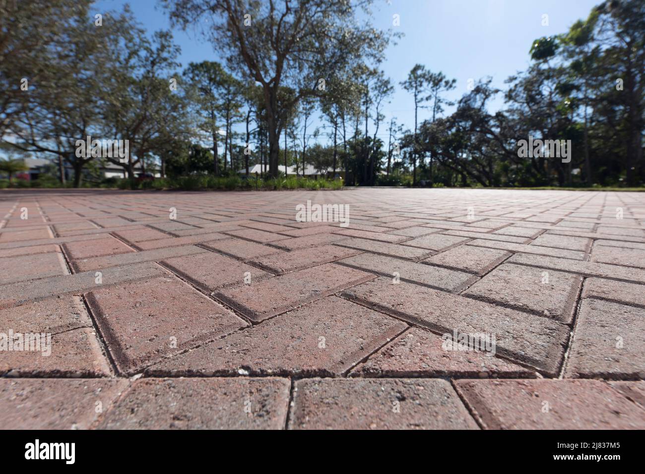 Side view of a freshly laid red brick paving driveway or paved area with red pavers. Herringbone pattern Stock Photo