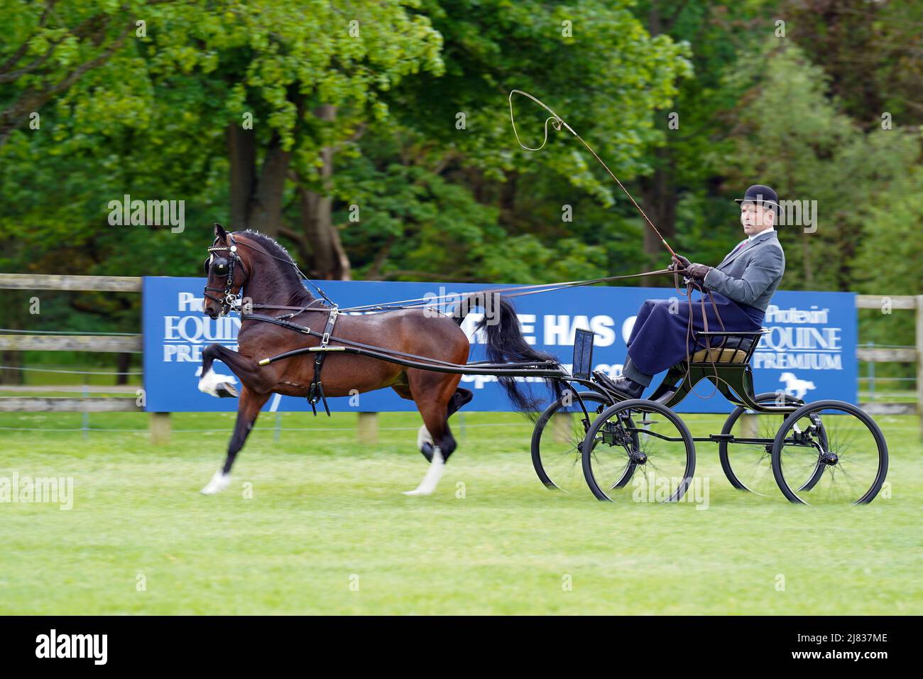 A competitor shows their horse at the Royal Windsor Horse Show, Windsor