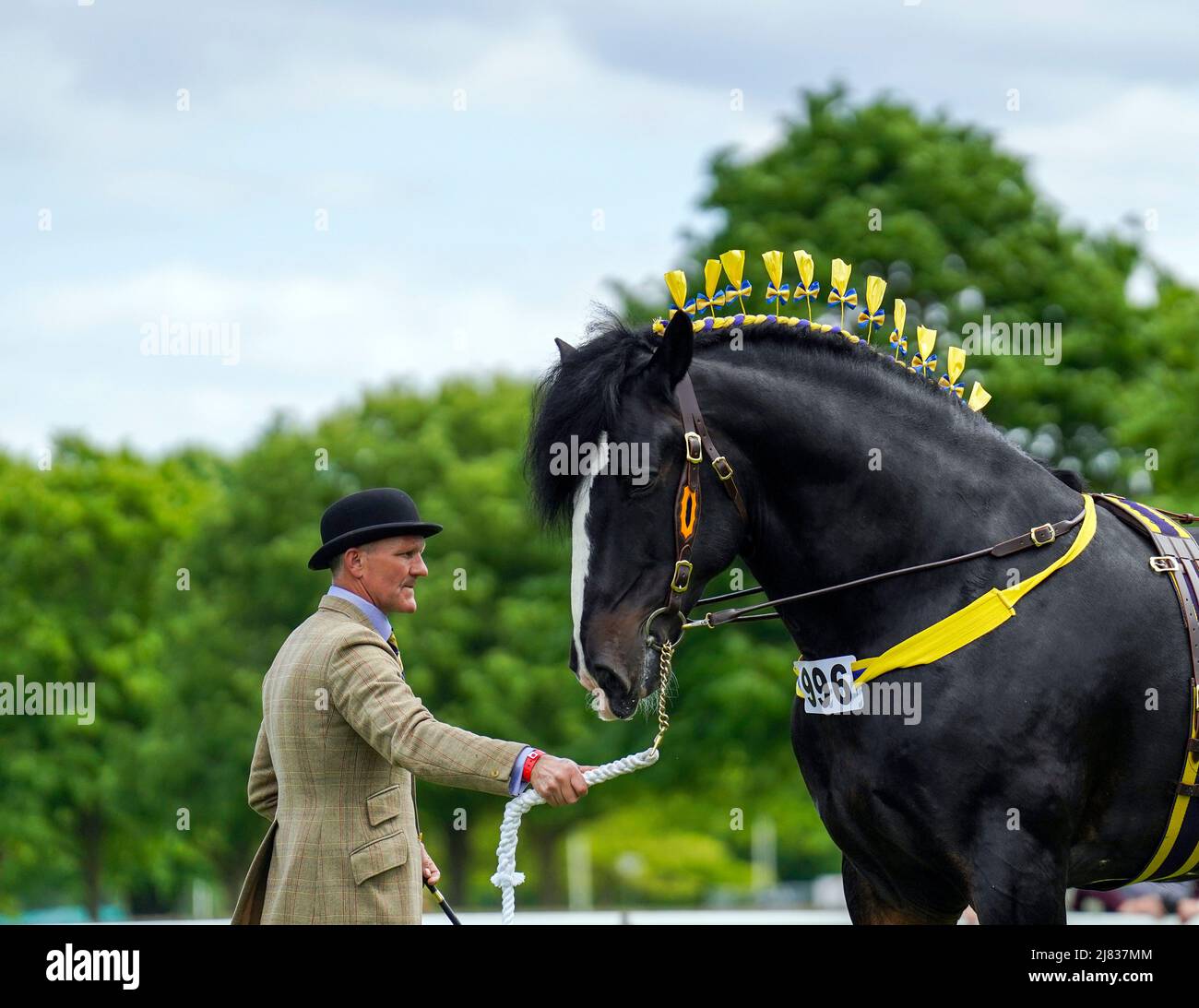 A competitor shows their horse at the Royal Windsor Horse Show, Windsor
