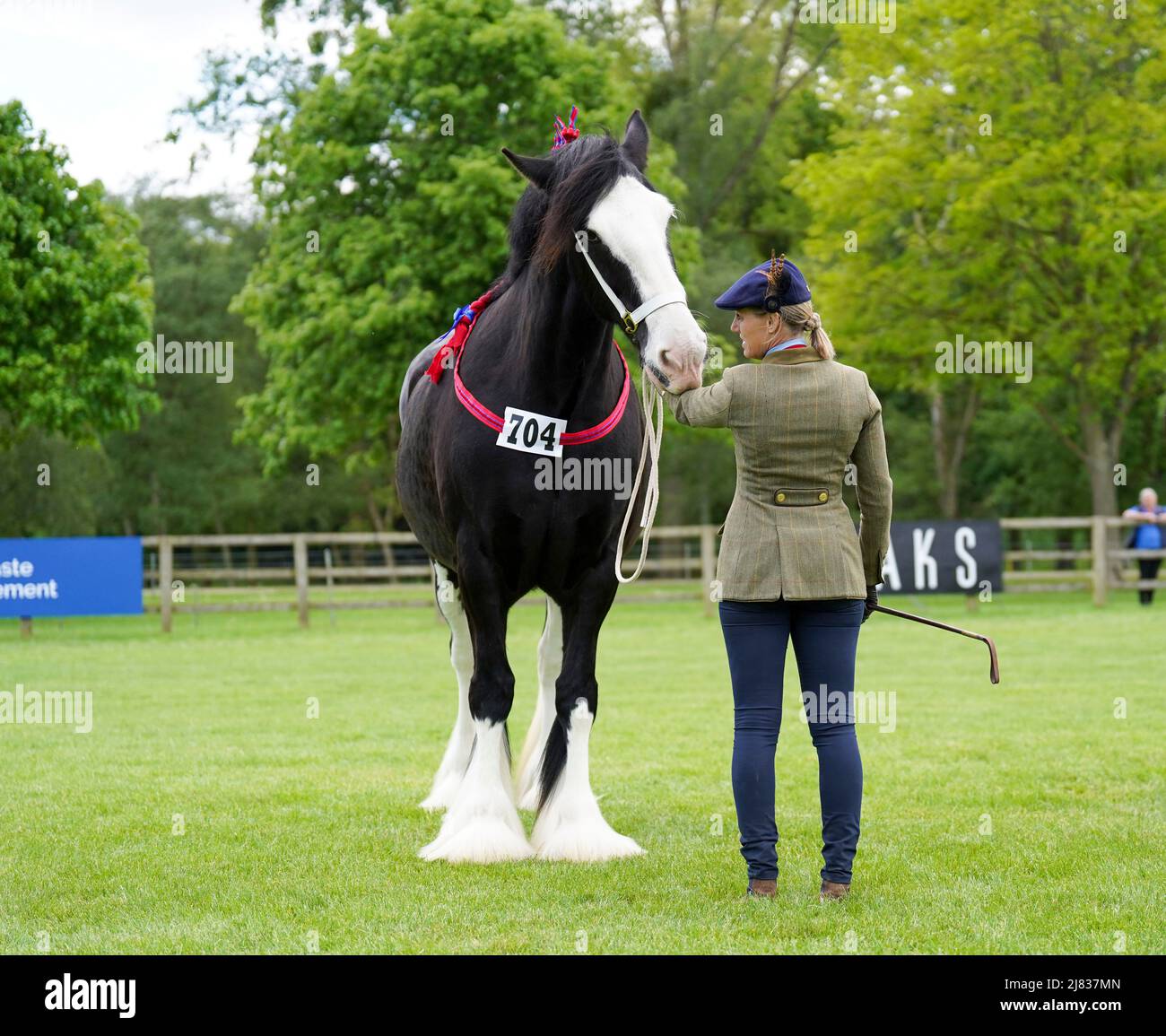 A competitor shows their horse at the Royal Windsor Horse Show, Windsor