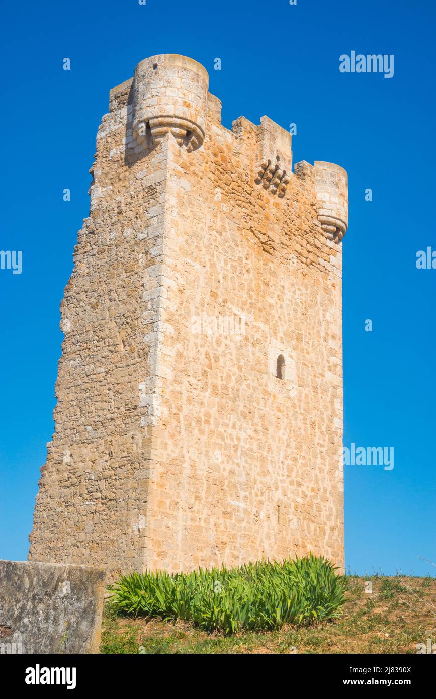 Hoyales Tower. Hoyales de Roa, Burgos province, Castilla Leon, Spain. Stock Photo