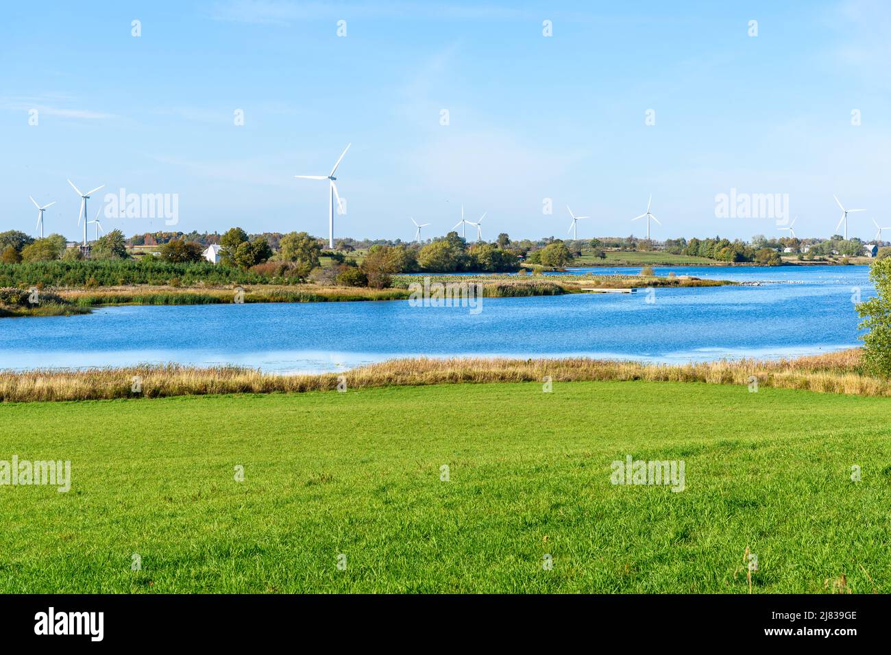 Grassy fields dotted with wind turbines along a river on a sunny autumn day Stock Photo