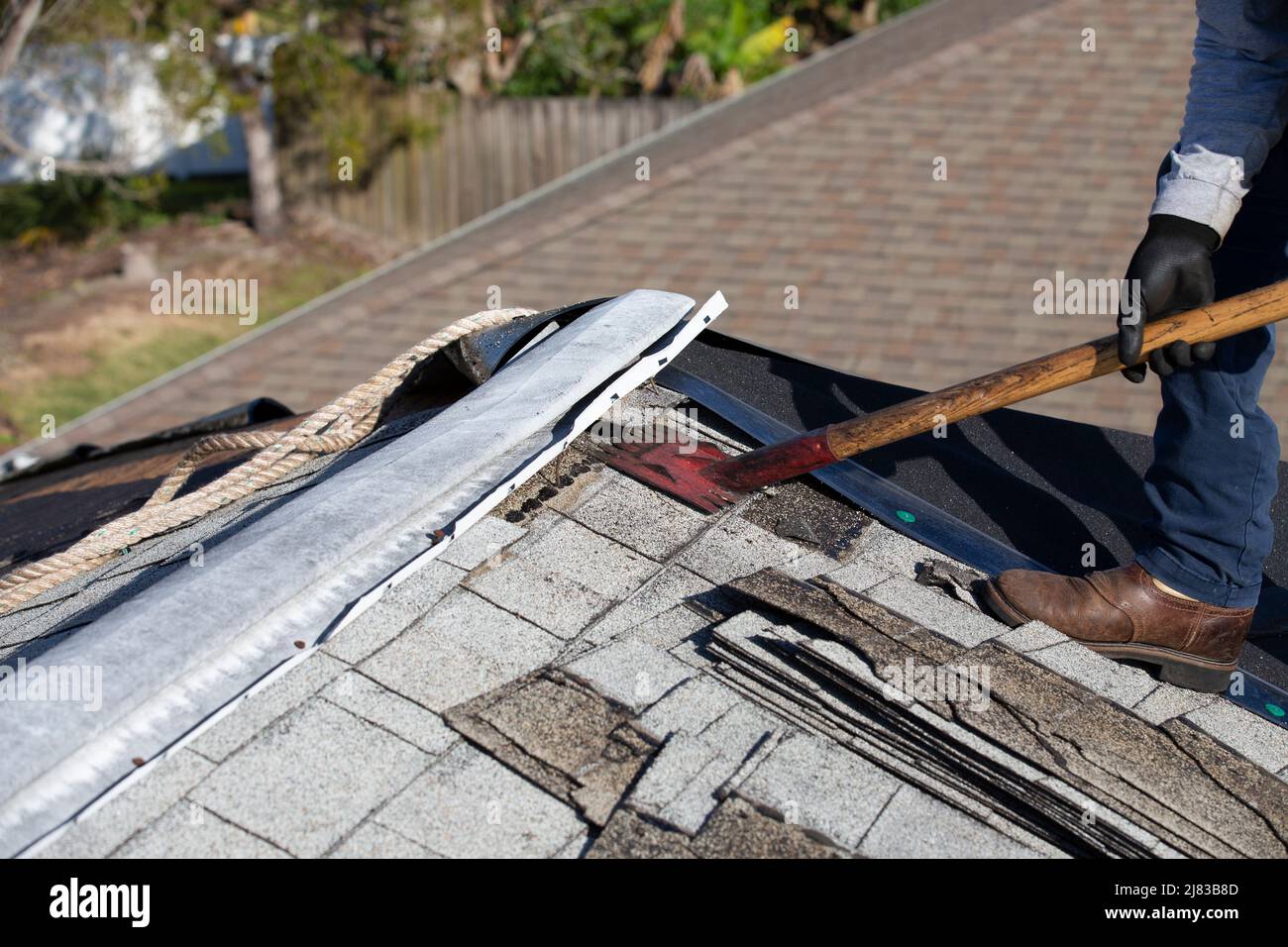 Professional Roofer using a shingle remover to rip and pry a row of old roof shingles off a hurricane damaged roof. Stock Photo
