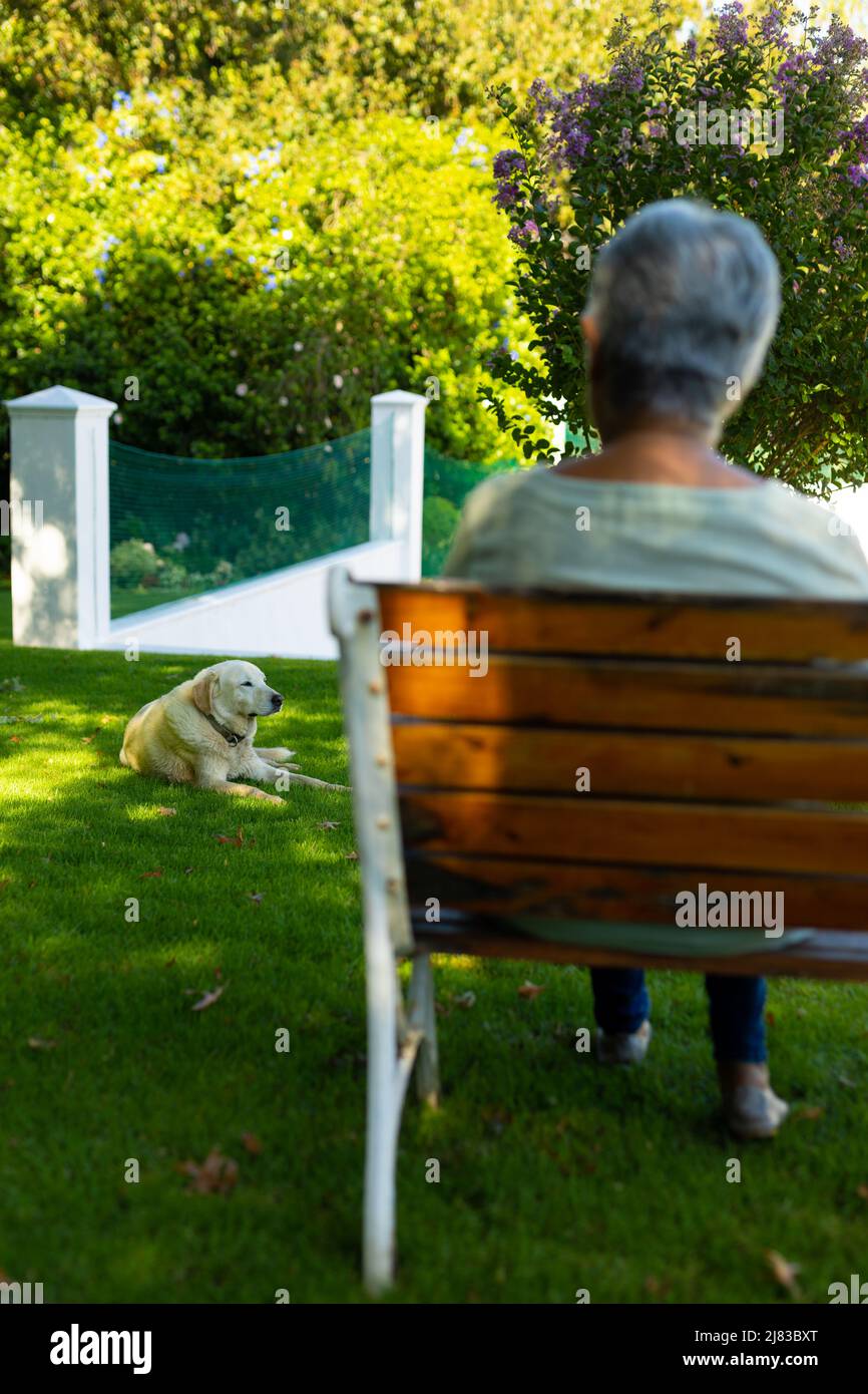 Dog lying on grass and rear view of biracial senior woman with short hair sitting on bench in park Stock Photo