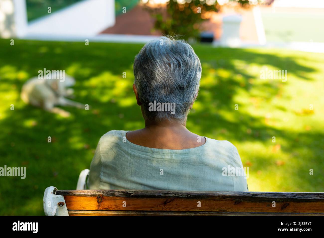 Rear view of biracial senior woman with short hair sitting on bench and dog lying on grass in park Stock Photo