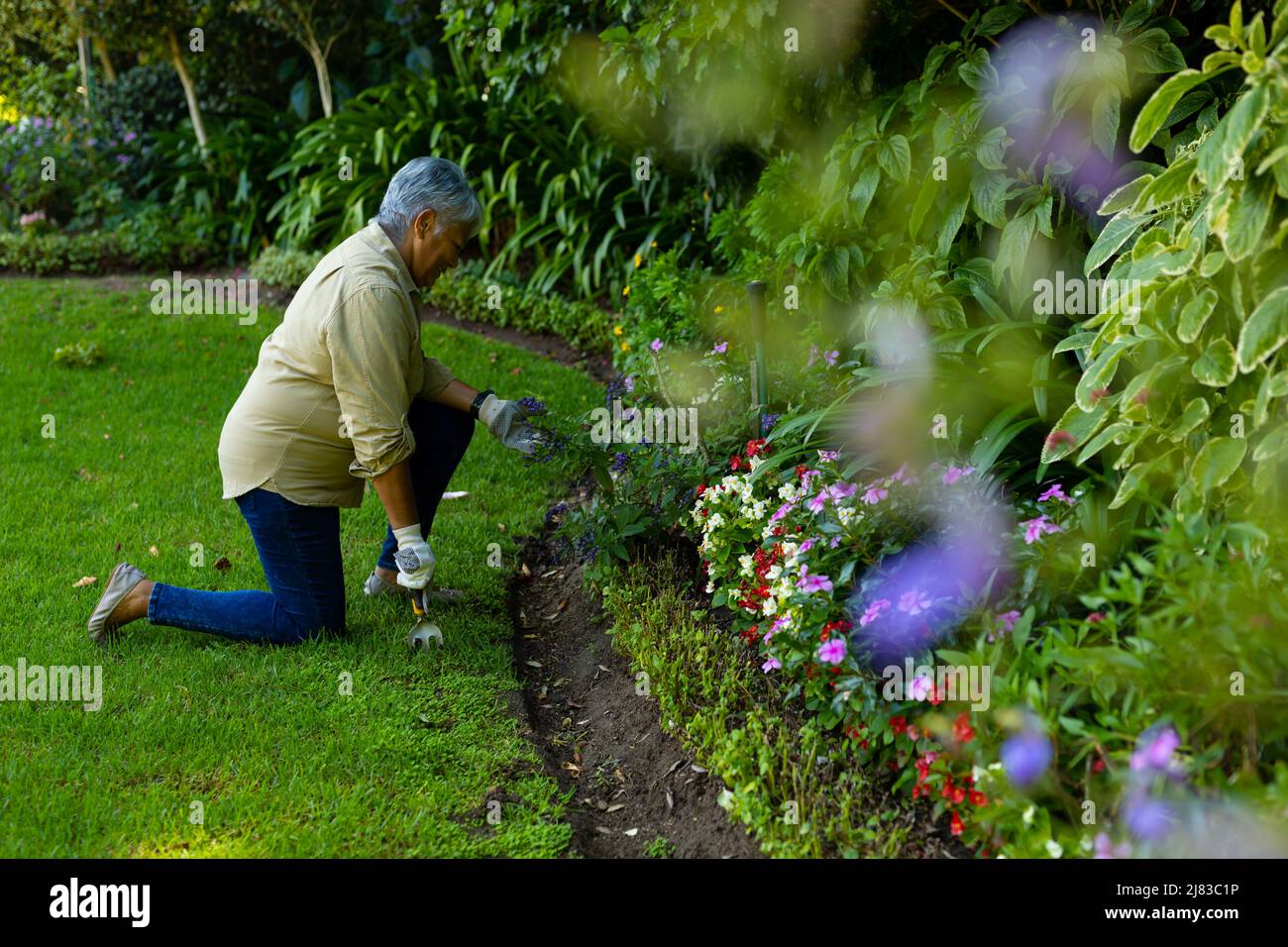 Side view of biracial senior woman with short hair gardening with fork tool while kneeling in yard Stock Photo