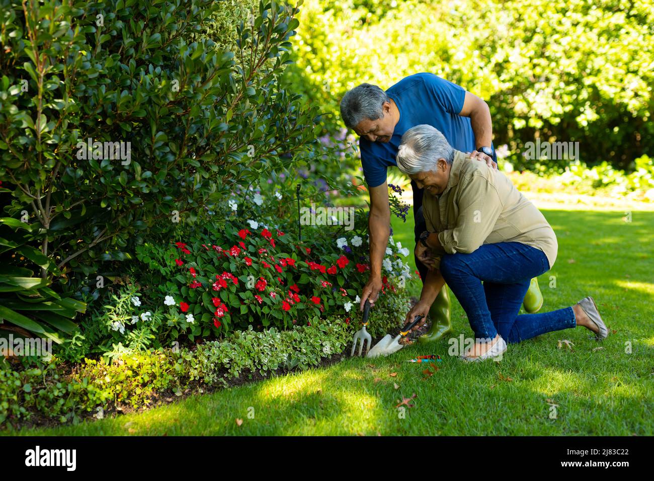 Biracial senior woman with senior man holding trowel and fork tools while gardening plants in yard Stock Photo