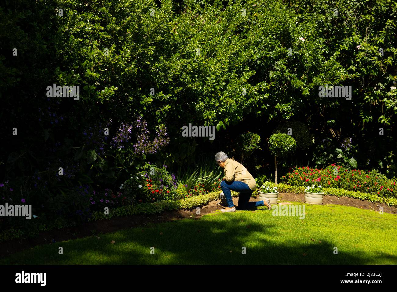 Side view of biracial senior woman with short hair gardening while kneeling on grassy land in yard Stock Photo