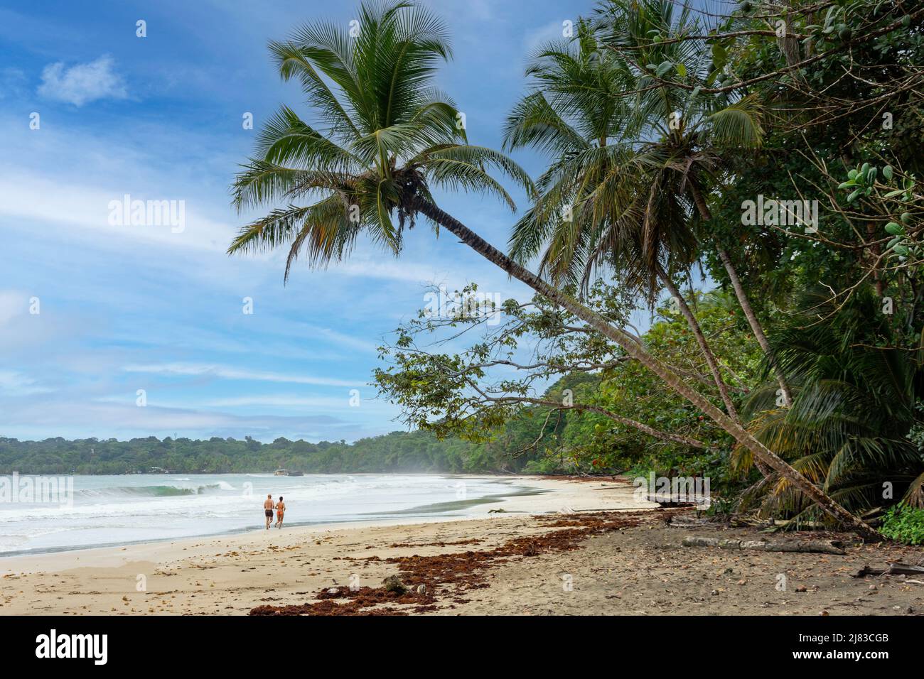 Playa Grande, Parque Nacional Manzanillo, Limón Province, Republic of Costa Rica Stock Photo