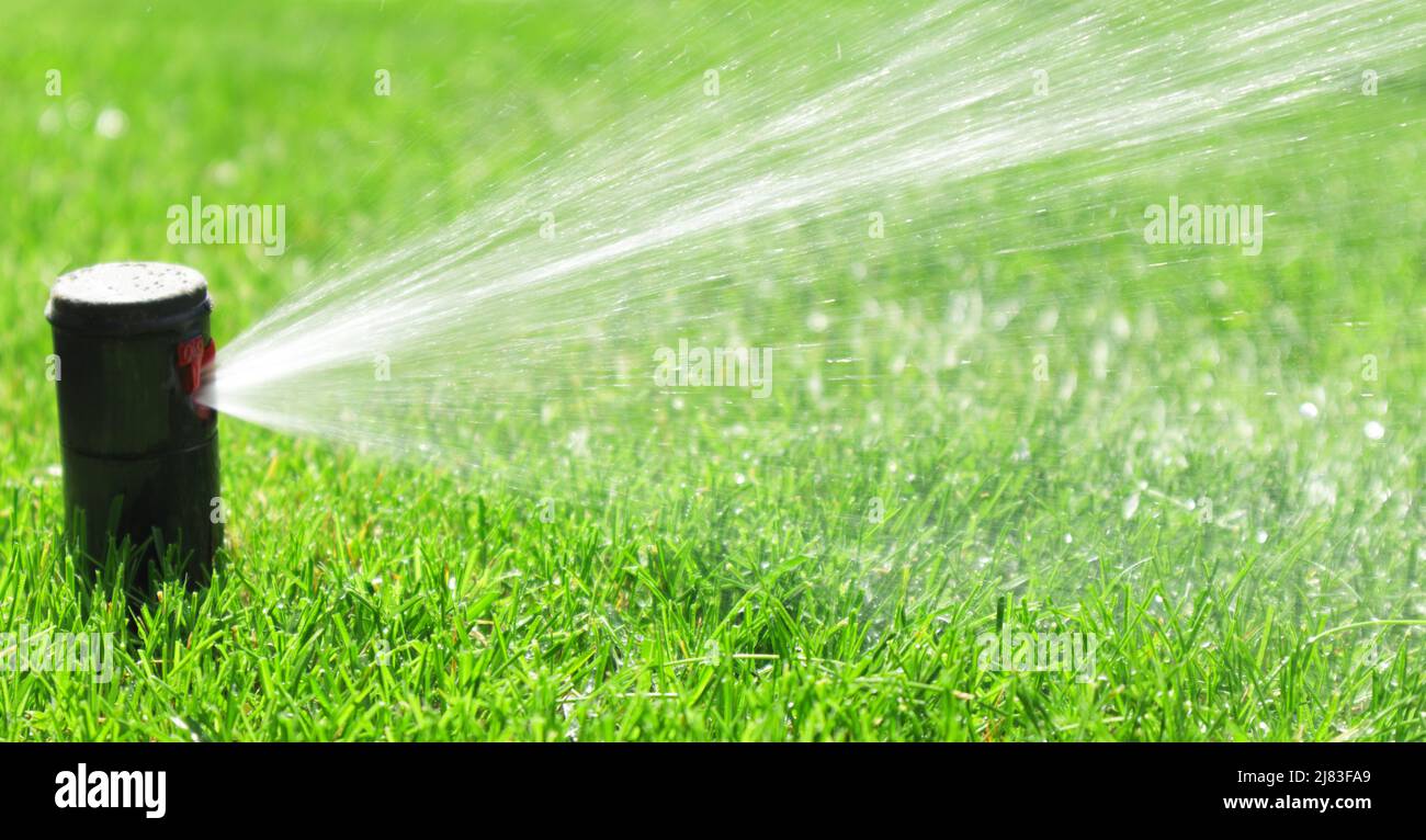 Garden irrigation system lawn. Automatic lawn sprinkler watering green ...