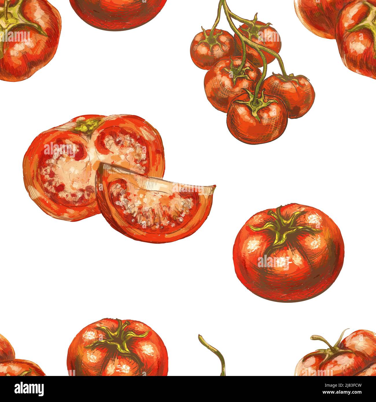 Sketches of tomatoes, seamless pattern on white Stock Vector Image ...