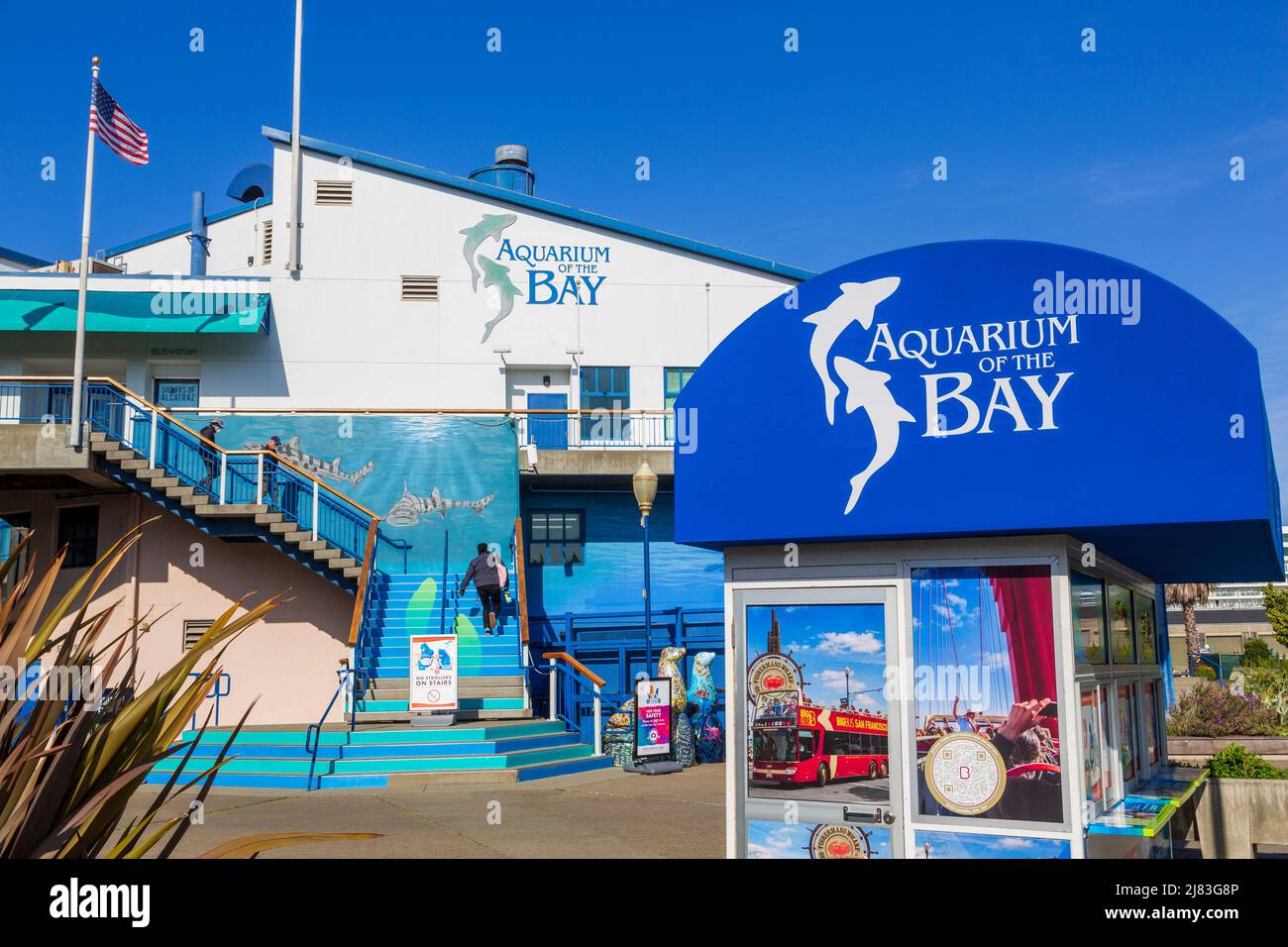 aquarium of the bay san francisco