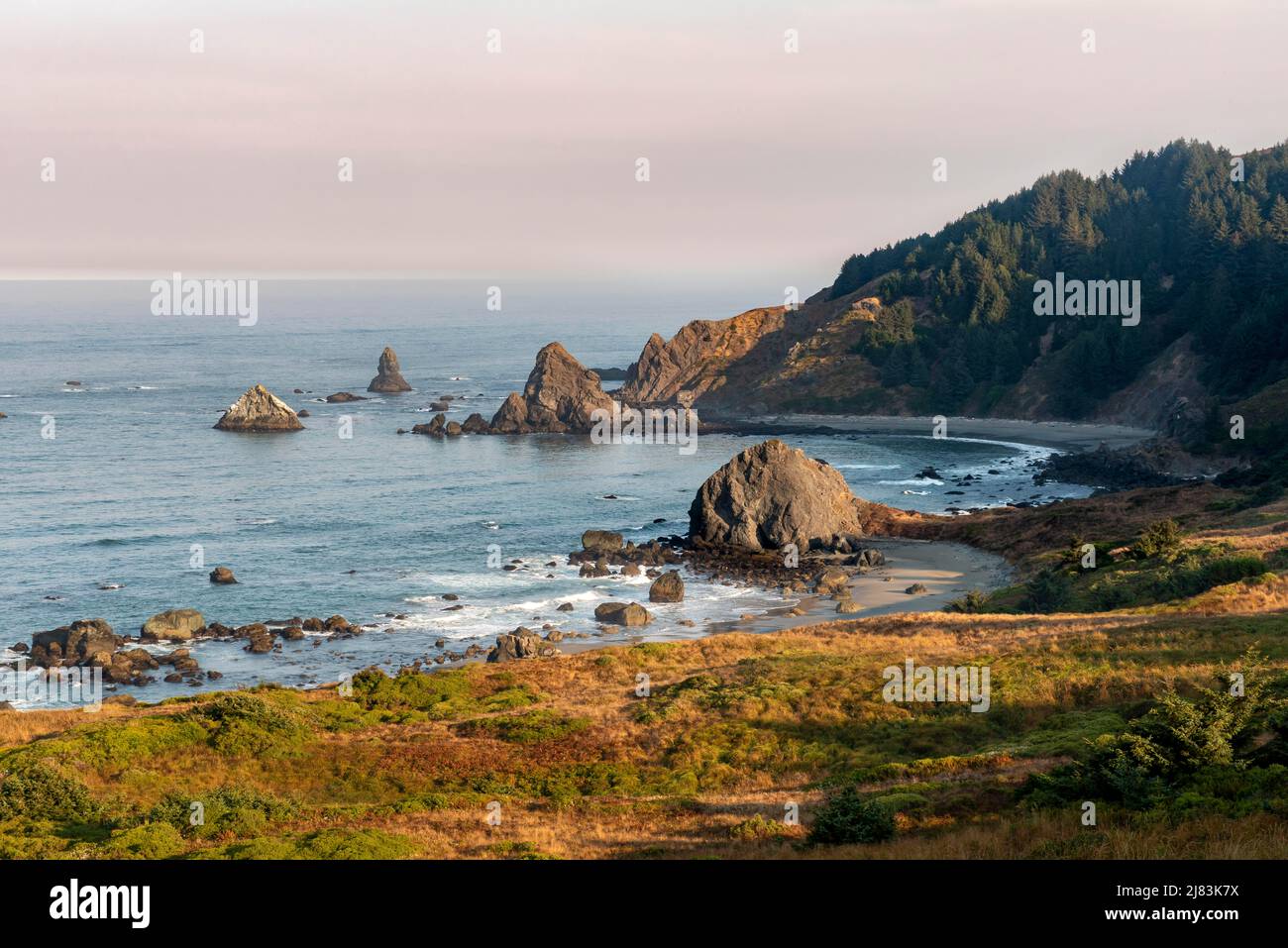 Ragged coast with rocks in the sea, Whaleshead, Samuel H. Boardman State Scenic Corridor, Oregon, USA Stock Photo