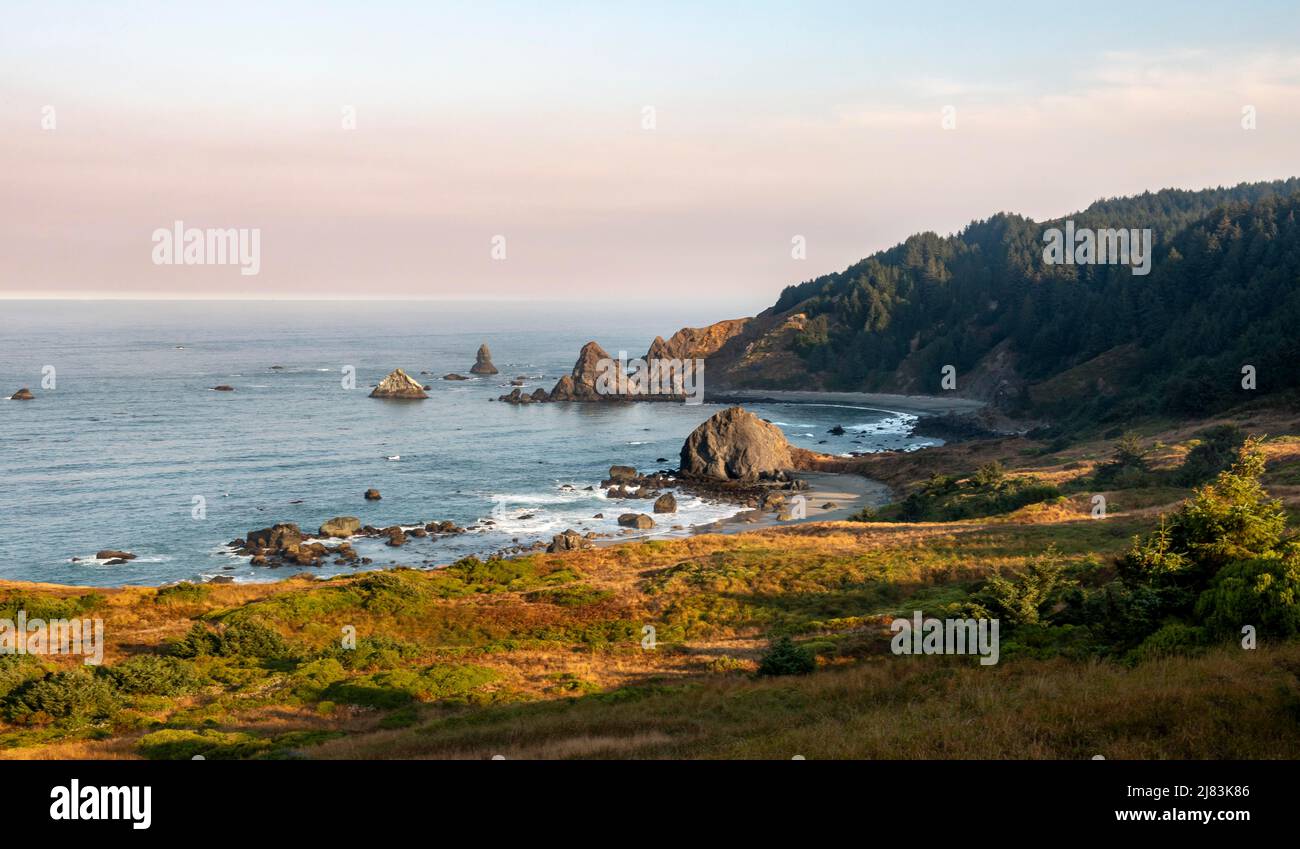 Ragged coast with rocks in the sea, Whaleshead, Samuel H. Boardman State Scenic Corridor, Oregon, USA Stock Photo