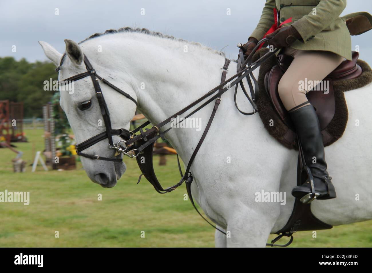 Equestrian event display hi-res stock photography and images - Alamy