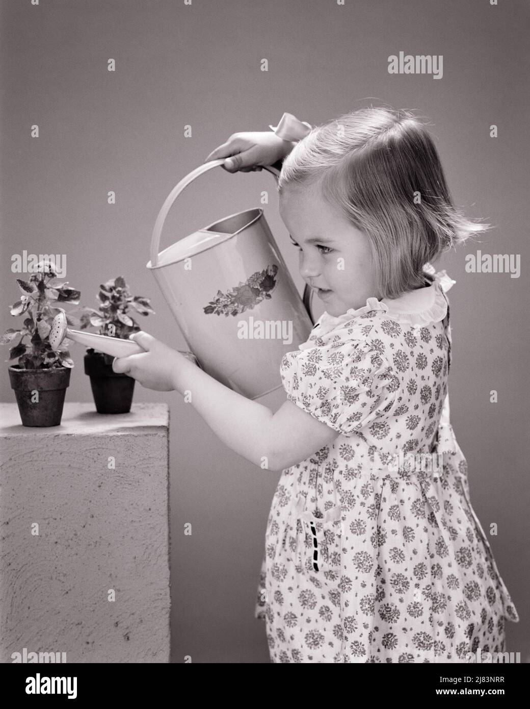 1940s LITTLE GIRL WITH WATERING CAN CAREFULLY GIVING WATER TO TWO POTTED PLANTS - j9282 HAR001 HARS HOME LIFE NATURE COPY SPACE HALF-LENGTH CARING PLANTS B&W GOALS SUCCESS HAPPINESS POTTED RECREATION PRIDE OCCUPATIONS CONNECTION CONCEPTUAL WATERING CAN CAREFULLY COOPERATION GROWTH JUVENILES RELAXATION WILDLIFE BLACK AND WHITE CAUCASIAN ETHNICITY HAR001 OLD FASHIONED Stock Photo