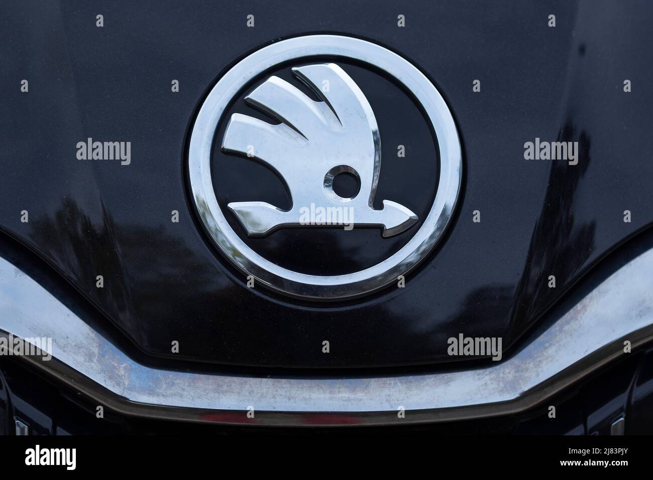 Car brand of the company Skoda, Bavaria, Germany Stock Photo - Alamy