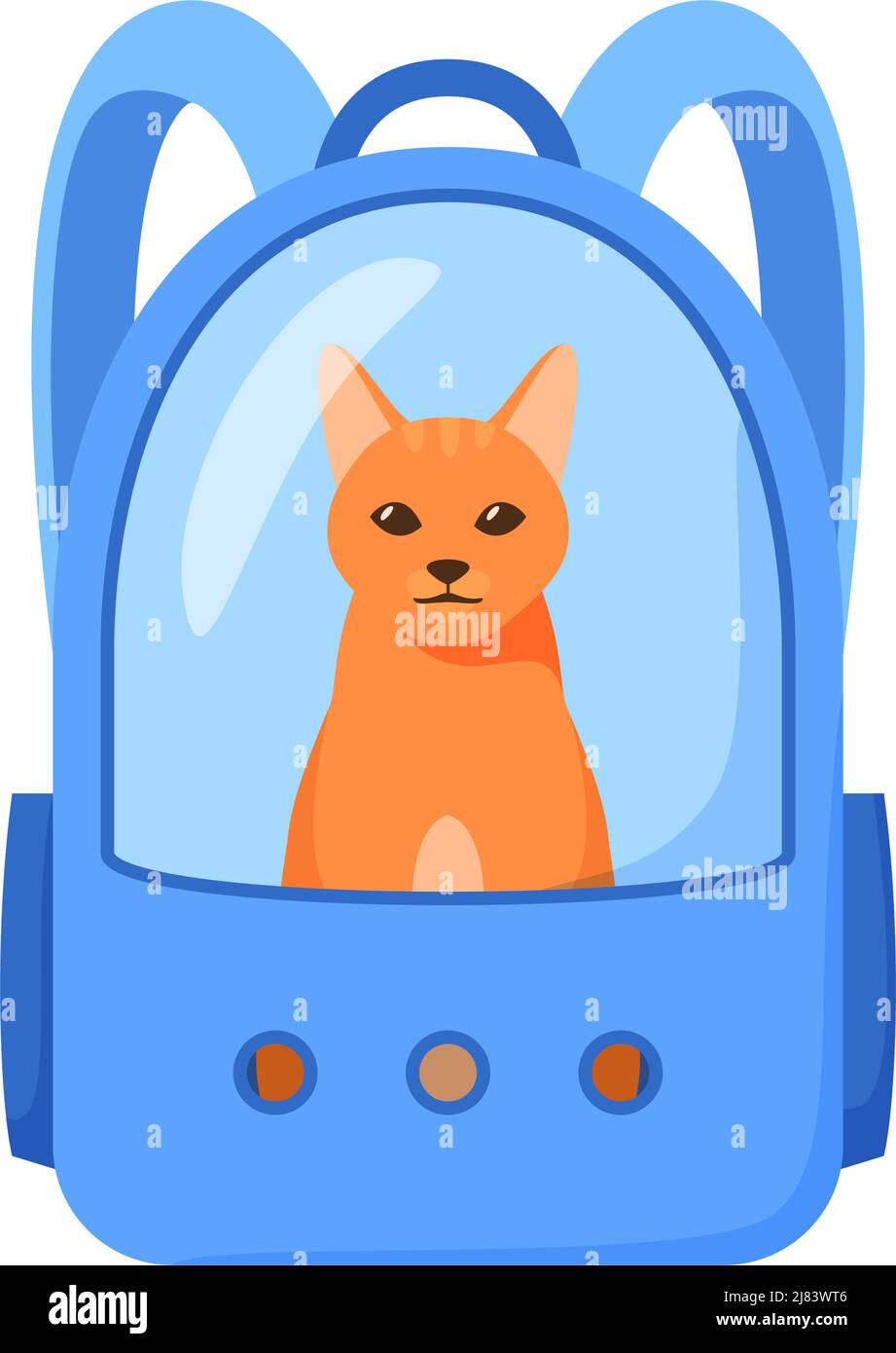 Cat in carrier bag. Backpack with window for traveling with pets or