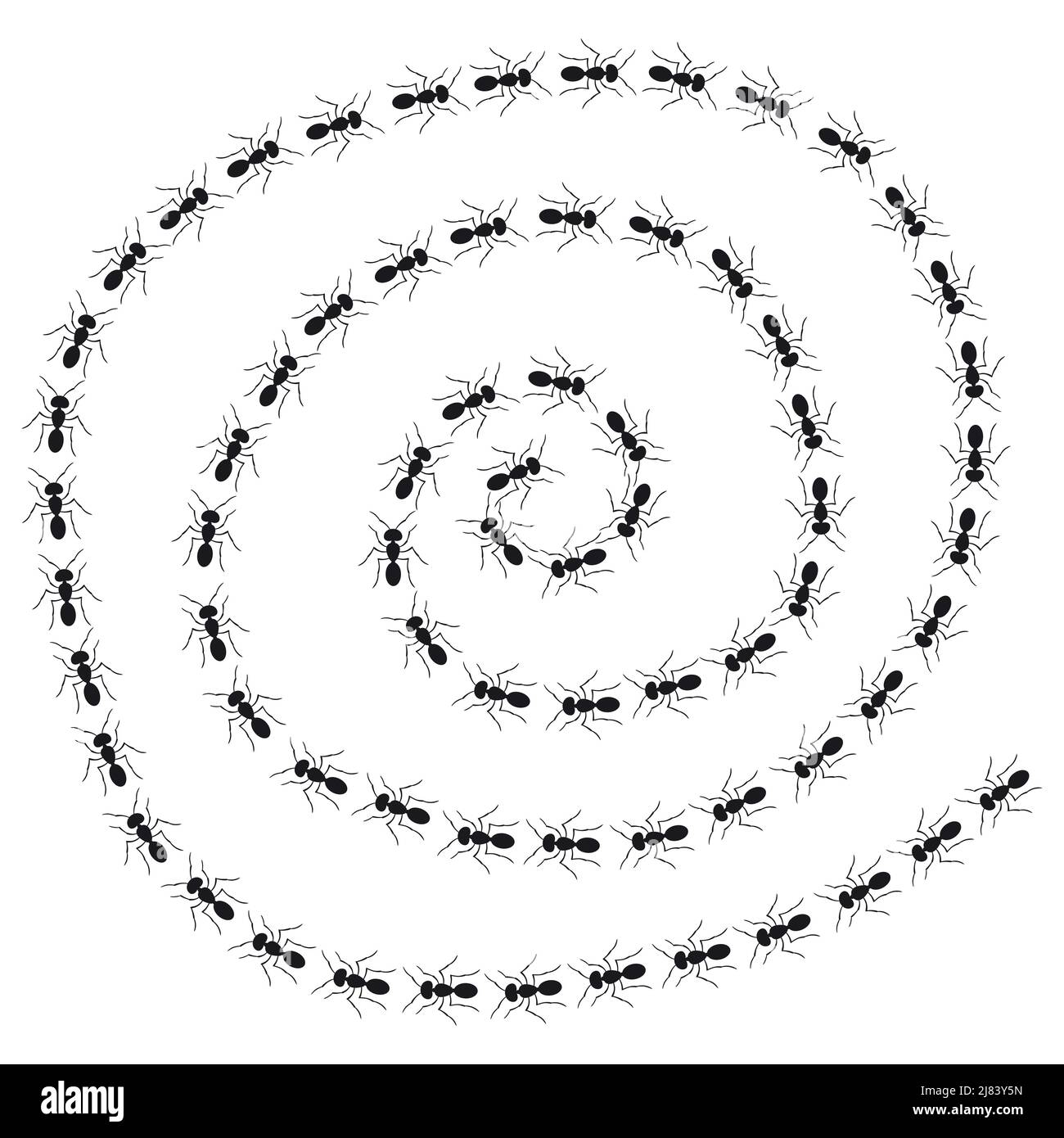 Ants hill Stock Vector Images Alamy