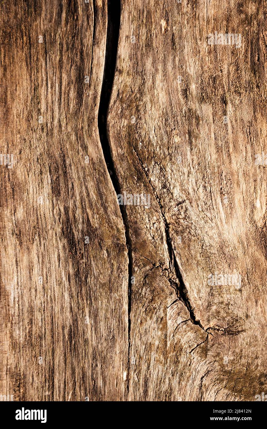 Wavy grain board hires stock photography and images Alamy