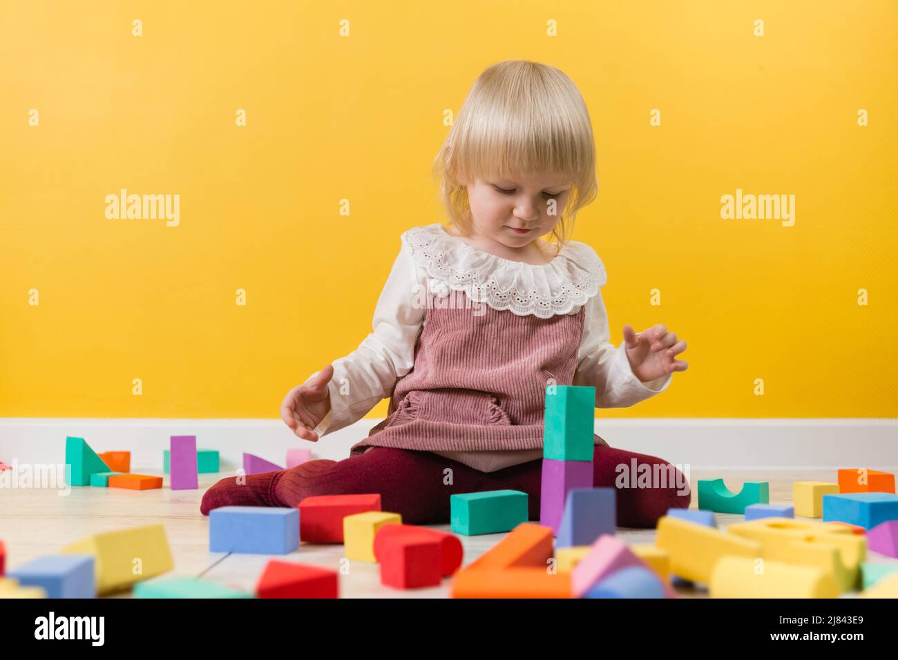 A little cheerful girl is sitting on the floor and building a tower of multi-colored blocks of the constructor. Selective focus Stock Photo