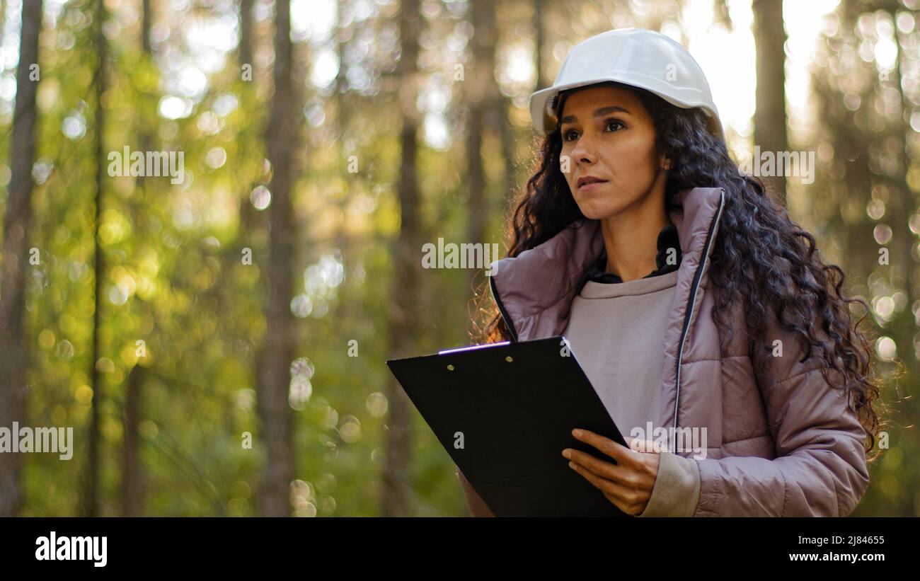 Millennial female technician ecologist looking up at treetops, Young indian woman in hardhat with clipboard taking measures checking trees. Forestry Stock Photo