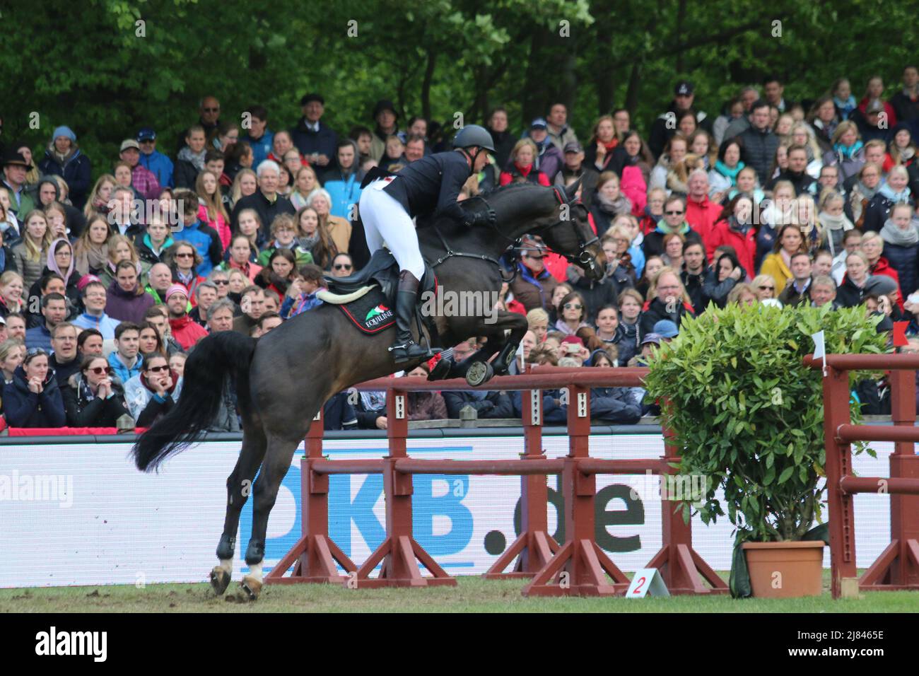 Springderby Klein Flottbek Andre Thieme auf Voitsdorfs Quonschbob Stock Photo