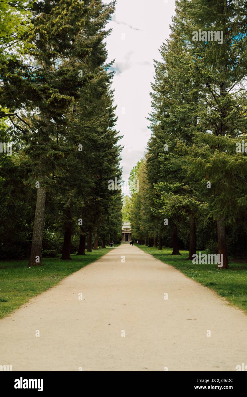 Pines alley hi-res stock photography and images - Alamy
