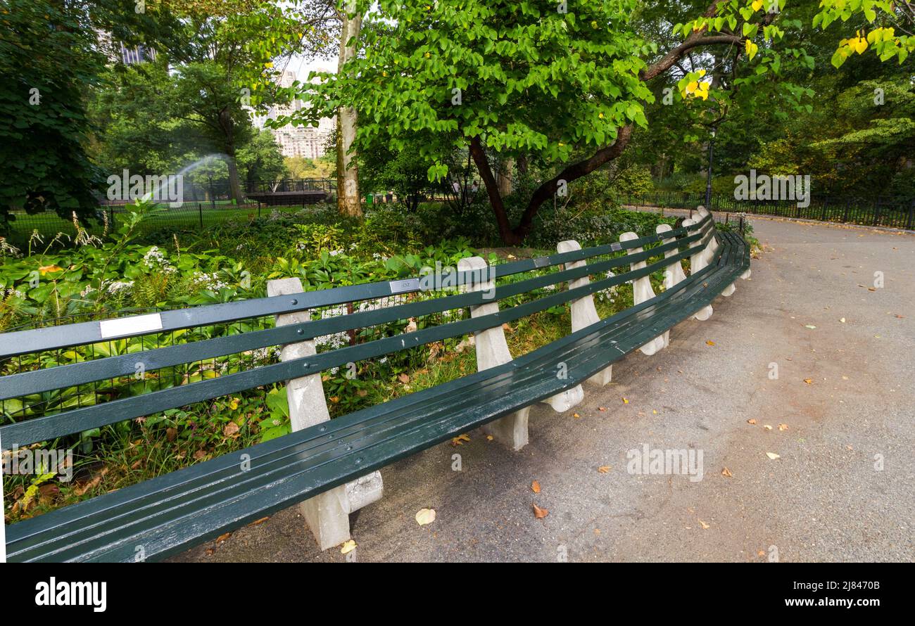 Curved Park Bench in Central Park along walking path with lush plants Stock Photo