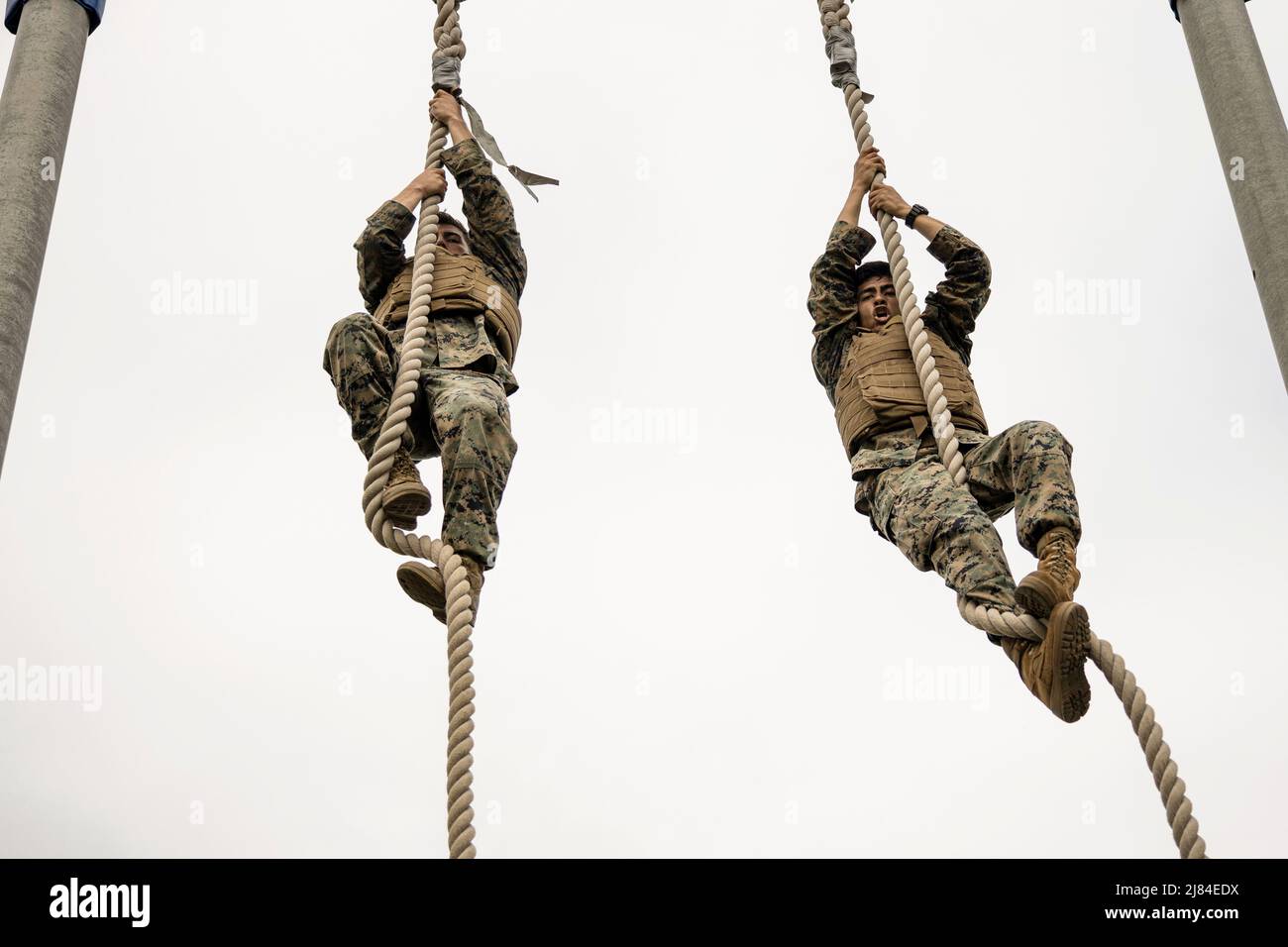 Apr 22, 2021 - Camp Kinser, Okinawa, Japan - U.S. Marine Corps Cpl. Isaac Weissend, a military working dog handler, left, and Cpl. Carlos Balderrama, a ground electronics telecommunications and information technology systems maintainer, both with Headquarters and Support Battalion, Marine Corps Installations Pacific, climb a rope during the obstacle course as part of a Martial Arts Instructor course at Camp Kinser, Okinawa, Japan, April 22, 2022. The Marines participated in the 15-day MAI course to become instructors and gain the ability to train and advance Marines in the Marine Corps Martial Stock Photo