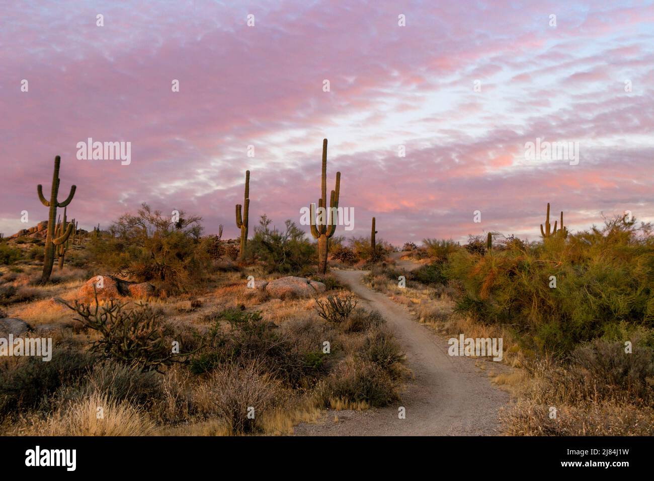 Desert Hiking Trail Heading Up Hill In Arizona Stock Photo
