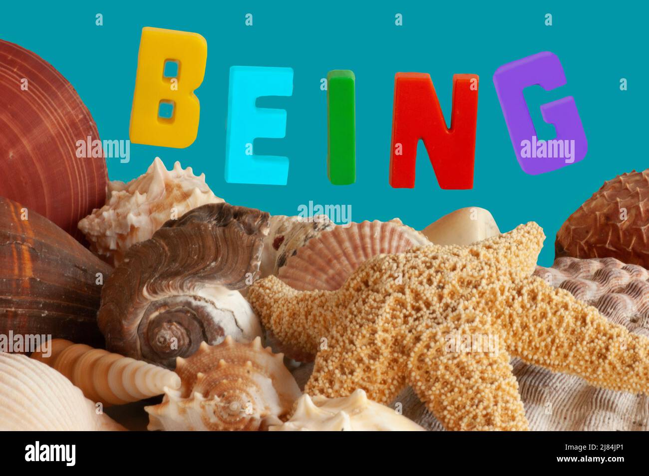 BEING the written word with seashells, starfish and a blue background representing the sea. The message is about life, enjoying life in the outdoors. Stock Photo