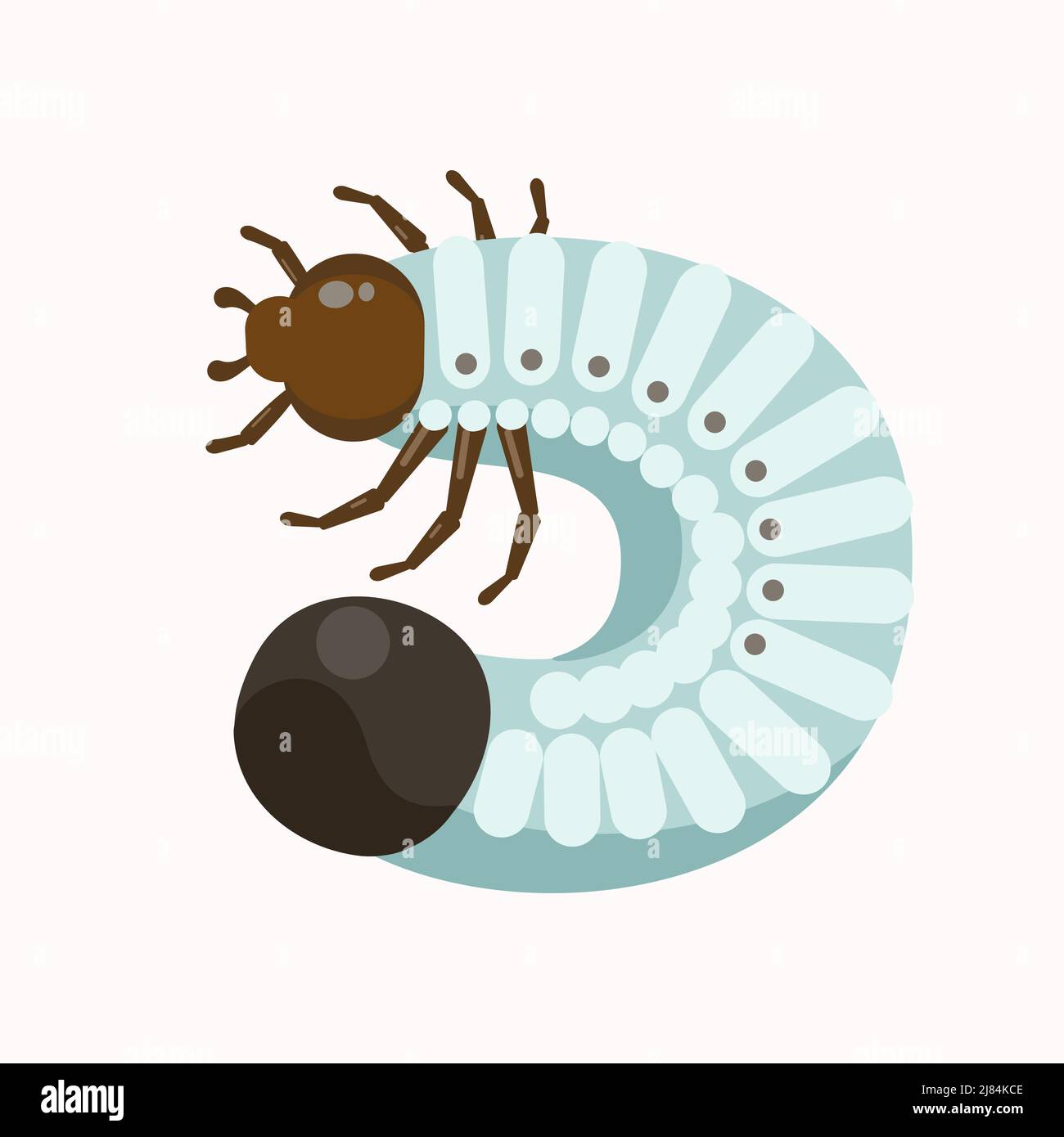 Larva beetle, chafer beetle isolated on white background.  Stock Vector