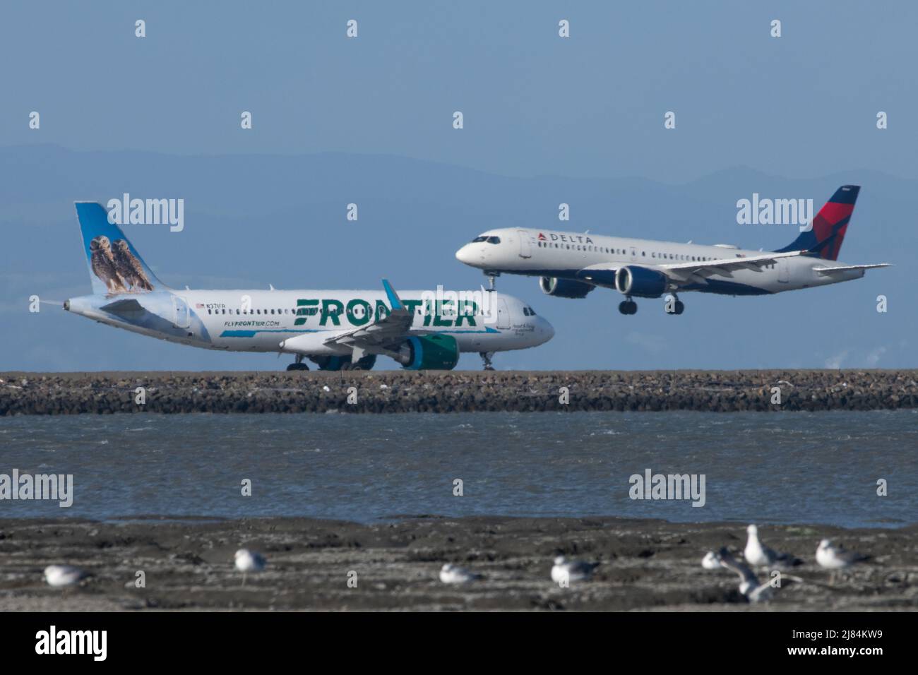 Two planes , from Delta and Frontier airlines, passing each other in San Francisco international airport in California. Seagulls perch nearby. Stock Photo