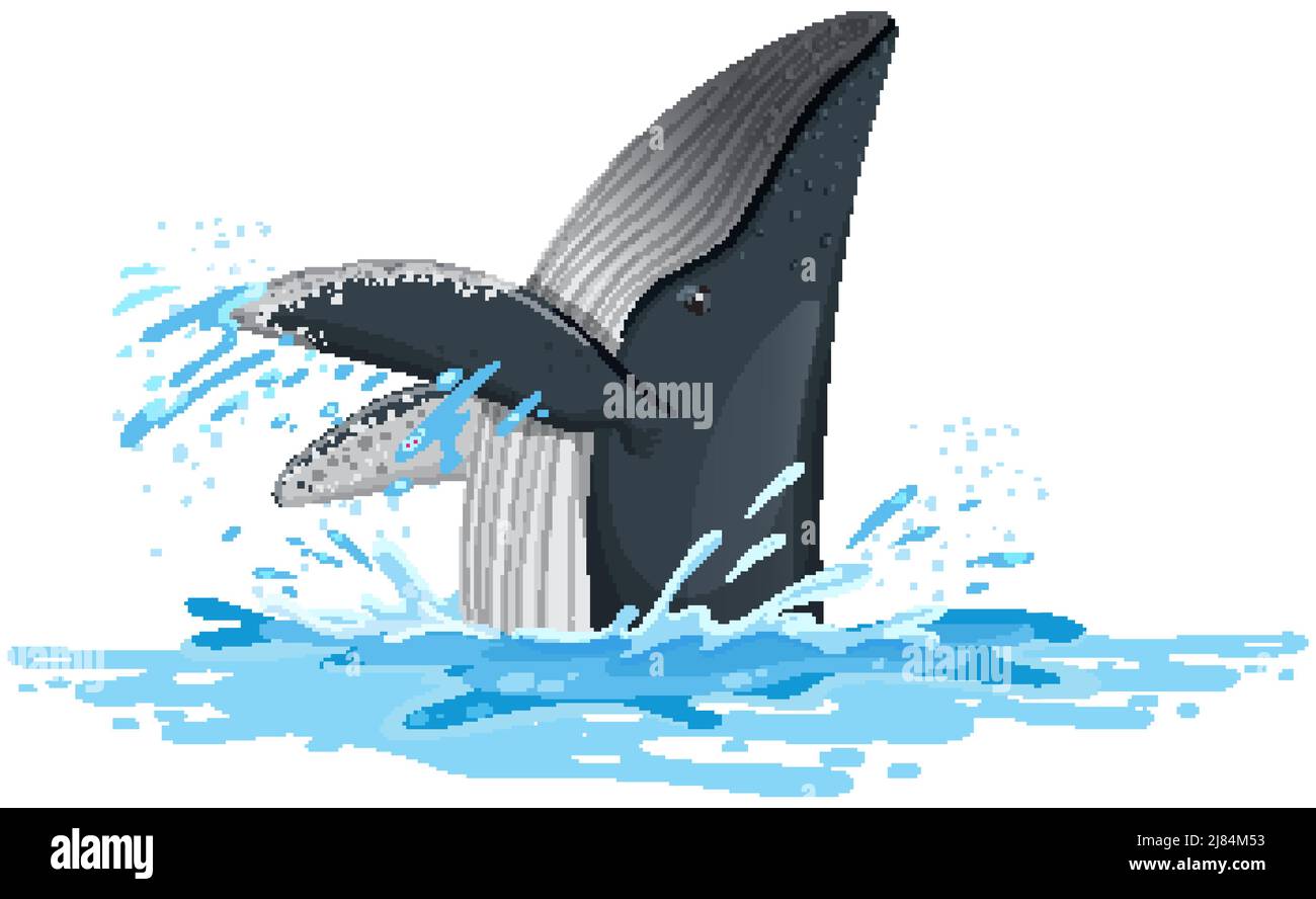 How To Draw A Humpback Whale Jumping Out Of The Water