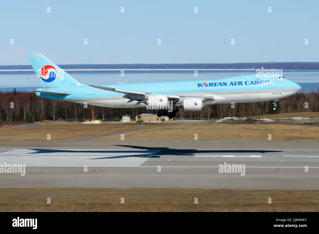 Korean Air Cargo Boeing 747 aircraft landing. Airplane 747-8F flying cargo. Freighter airplane of KoreanAir Cargo arrival. Stock Photo