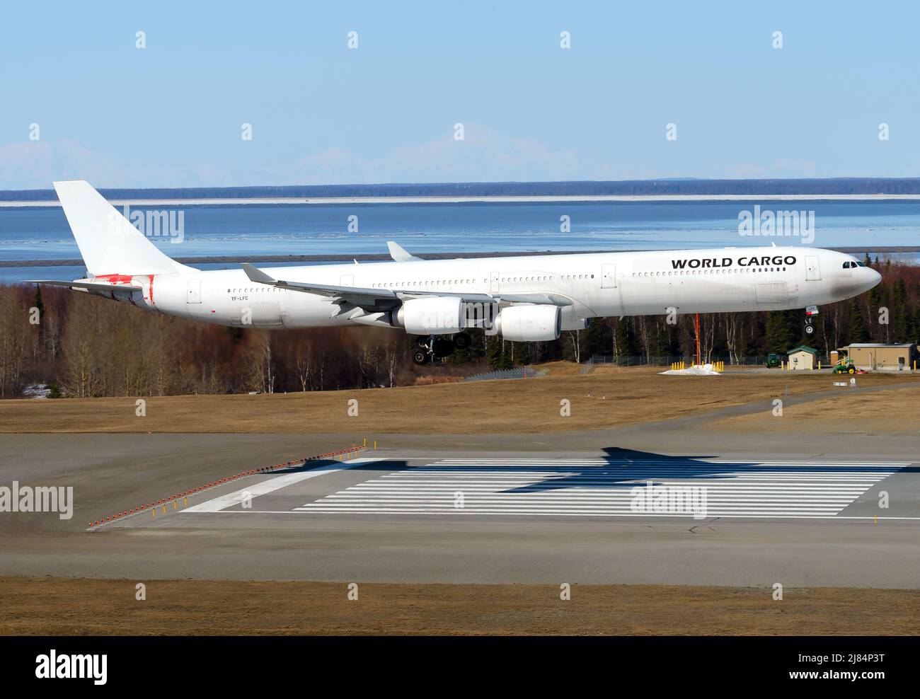 Air Atlanta Icelandic Airbus A340-600 aircraft landing with 'World Cargo' titles. White freighter airplane A346 used for cargo transport. Stock Photo