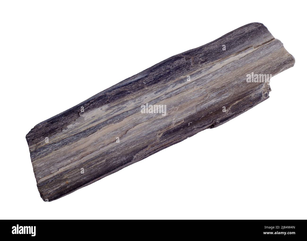 Black petrified wood. Visible wellpreserved wood structure. Isolated