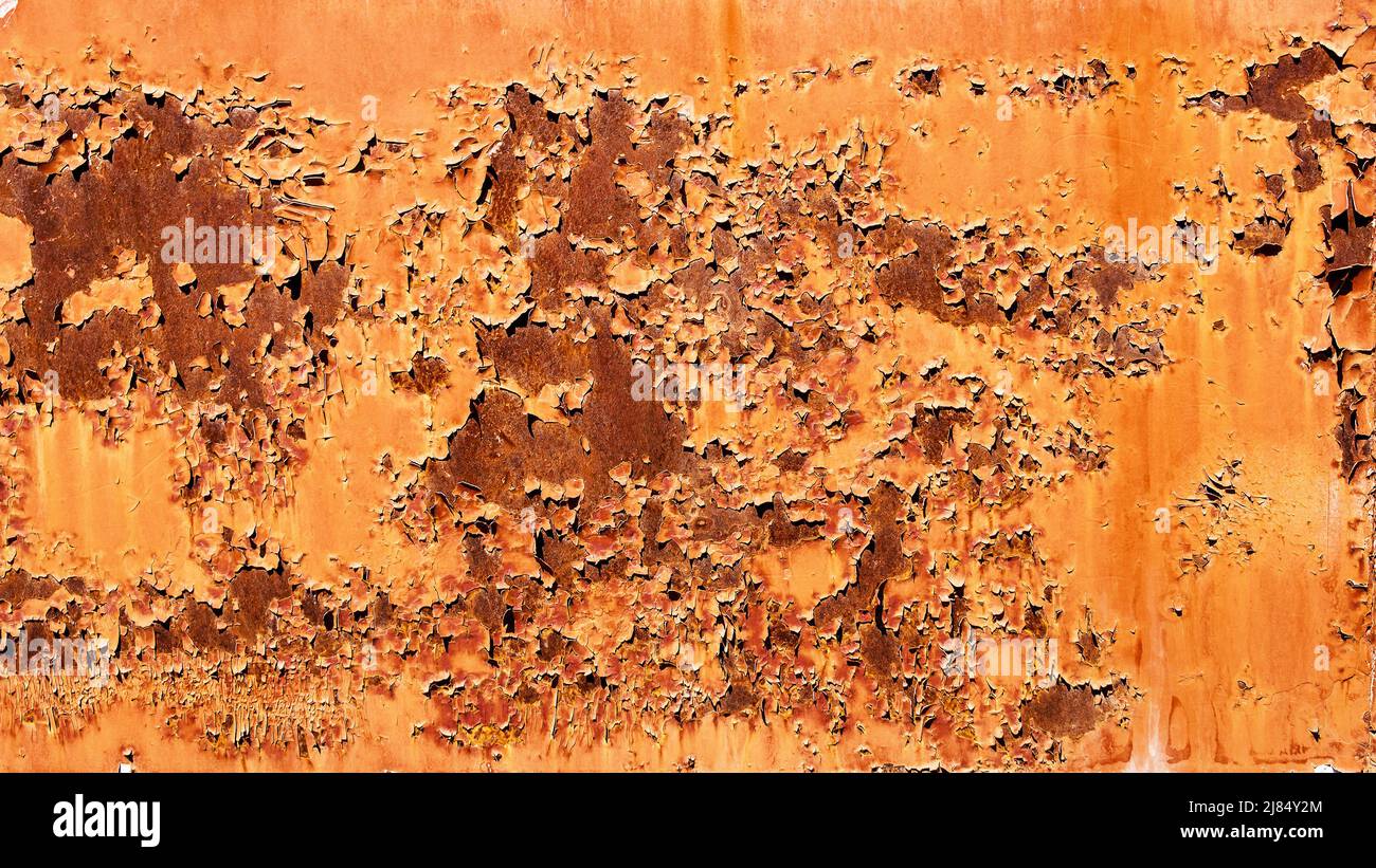 Sheet of old rusty iron with peeling paint in the sun. Stock Photo