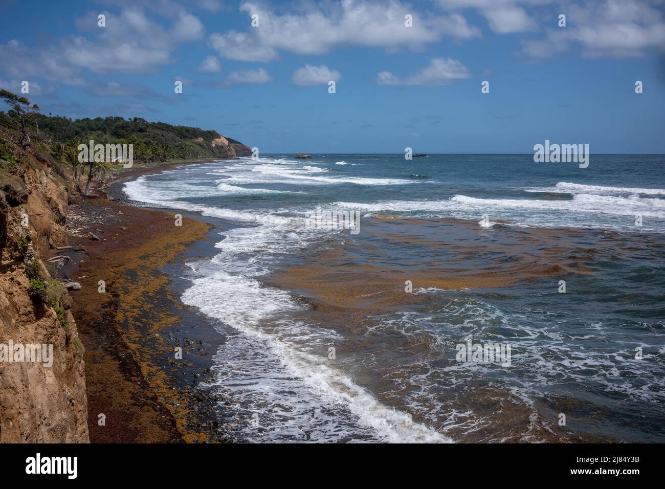 Londonberry Bay, a black sand beach, on Dominica's rugged East coast and where a scene from Pirates of the Caribbean At World's End was filmed. Stock Photo