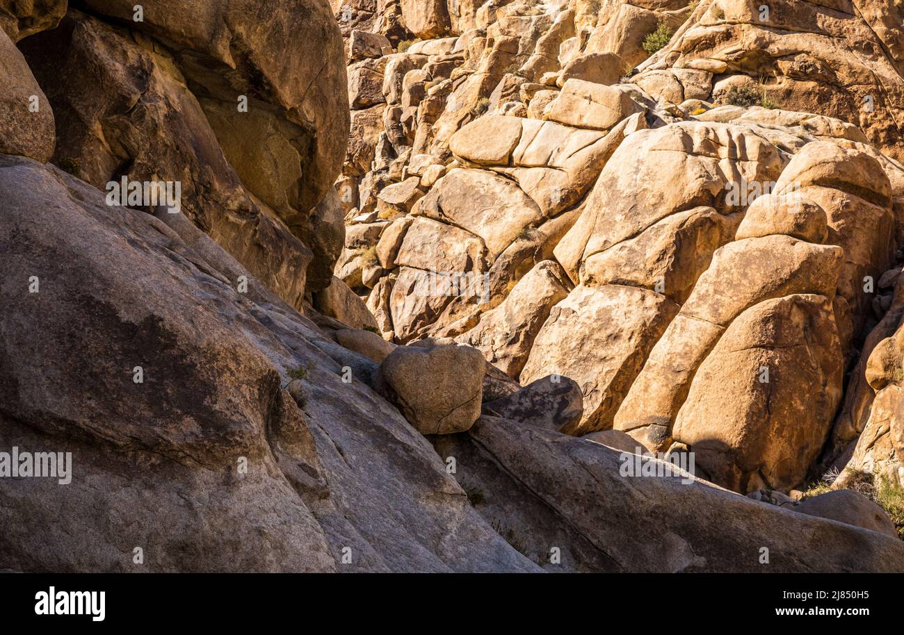 The rock walls of Rattlesnake Canyon in Joshua Tree National Park Stock
